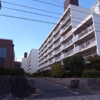 バンベール金山
